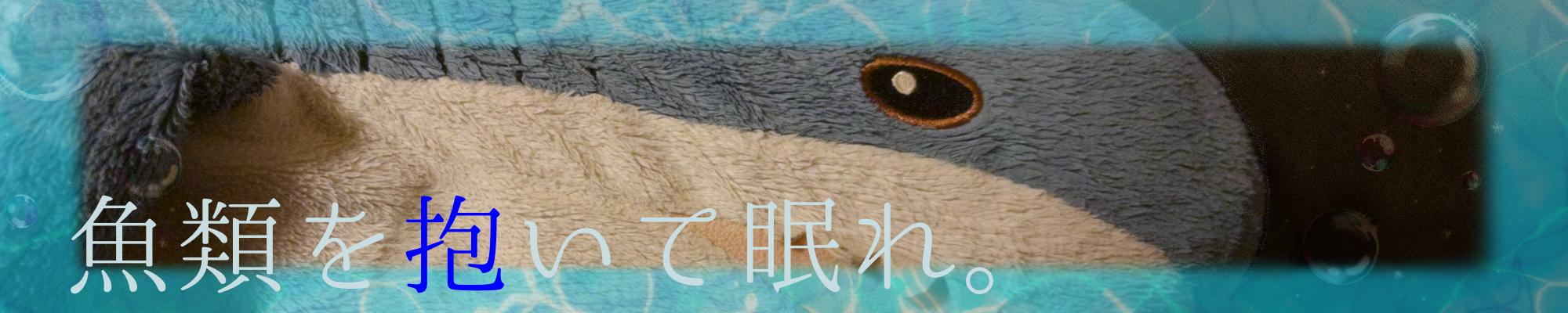魚類抱き睡眠同盟